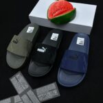 Puma slides