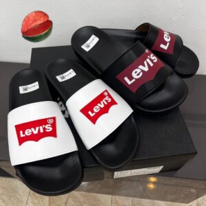 LEVIS SLIDES