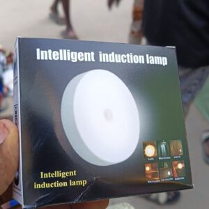 Intelligent induction light